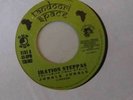 IRATION STEPPAS - JUNGLE JUNGLE tandoori space DUB 7