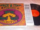 ORANGE ALABASTER MUSHROOM - SPACE AND TIME - RARE LP GARAGE PSYCH MINT