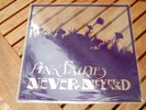 Pink Fairies  Never Neverland