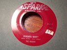 THE ROBINS  - WHADAYA WANT // IF TEARDROPS WERE KISSES - RARE DOOWOP - SPARK 110