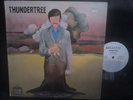 THUNDERTREE-WL PROMO-Original ROULETTE lp-RARE psych-