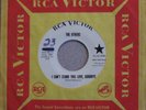 The Others-I Can't Stand This Love, Goodbye RARE GARAGE PROMO 45