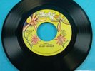 Party Hardy & Happy Velvet Hammer Nathan Wilkes Soozi  Record Vinyl 45 RPM