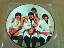 THE BEATLES BUTCHER COVER YESTERDAY AND TODAY LP PICTURE DISC