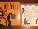 Melvins Stag LP
