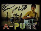 Vampire Weekend A-Punk SIGNED BY ALL MEMBERS