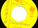 RAY BURDEN Hot Rodders Dream 45 on ADONIS Rockabilly HEAR