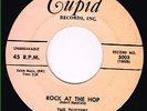DUSTERS rock at the hop CUPID 45rpm 5003__1958 wild rocker RARE