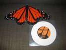 Saves the Day 7