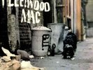 PETER GREEN'S FLEETWOOD MAC    LP