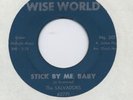 NORTHERN MONSTER THE SALVADORS  on WISE WORLD NICE COPY HEAR