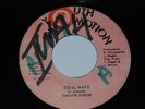 TREVOR JUNIOR - TIDAL WAVE -  7