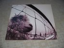 Pearl Jam Vs Vinyl LP