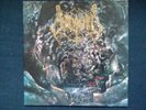 Unleashed - Shaddows in the Deep (Vinyl 1992)