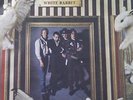 The Damned, WHITE RABBIT, Rare, Collectable, 7