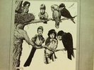YARDBIRDS - MORE GOLDEN EGGS (ORIGINAL-TMQ Records 1974) VG+/VG++  RAR