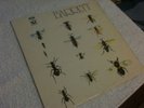 SYD BARRETT - BARRETT LP HARVEST 1970 LAMINATED SLEEVE FIRST PRESSING NEAR MINT