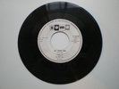 Hear Rockabilly 45's TERRY LEE & THE POOR BOYS 