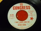 northern soul Ritchie Adams I Can't Escape DJ Congress