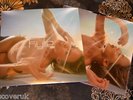 KYLIE MINOGUE On A Night Like This SCARCE UK Picture Sleeve 12