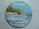 Junior Ross & The Spears - Babylon Fall UK 45 CARIBBEAN