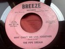 THE PIPE DREAM - rare Tennessee garage psych 45 on Breeze Records