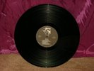 RATTUS TOILET BLOWS UP LP NEAR MINT PUNK RARE ONLY 20+ MADE ON MMUTHA RECORDS
