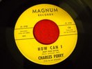 Charles Perry How Can I Keep from Crying on Magnum