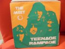 THE MEET ( THE SWEET )  Teenage Rampage / ANGOLA RARE UNIQUE COVER