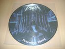 MORBID December Moon PICTURE LP / ORG #479/500 treblinka dissection watain eal