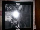 BREAKER Get Tough Rare Heavy Power Metal ACCEPT JUDAS PRIEST