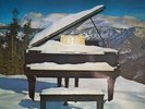 33T - SUPERTRAMP - Even In The Quietest Moments
