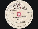 KILLER 70s ROOTS STEPPERS CUT DELROY WILSON - BECAUSE I AM BLACK - 12