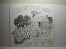 RUSTI STEEL AND THE TIN TAX ROCKABILLY LP