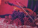 RCA Living Stereo Shaded Dog LSC 2363 - Szeryng - Munch 