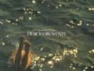 HANS-JOACHIM ROEDELIUS - DURCH DIE WUSTE - CLUSTER - SKY 014 - CLASSIC KRAUTROCK