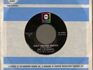 Ruby & the Romantics This is no laughing/Only heaven knows ABC 10941 northern 45