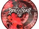 BORKNAGAR - Quintessence PICTURE DISC LP RARE Limited 500