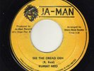 Rupert Reid SEE THE DREAD DEH & CUP OF CUPS Ja Man All Stars Killer A1 LISTEN