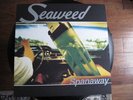 Seaweed-Spanaway- LP Promo