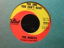 Beach Boys - Honeys  The One You Can't Have  stock single