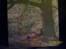 YOKO ONO/PLASTIC ONO BAND SEALED  JOHN LENNON APPLE RECORDS