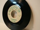 Randy Hobbs 45 You Better Run rare Rockabilly gator