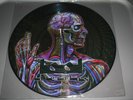 very rare Tool promo LATERALUS brand new PICTURE DISC 12