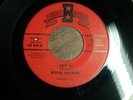 Rockin Reading Pa Instro 45 The Royal Rockers Jet II on Bee LISTEN