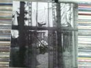 'Paul McCartney Chaos And Creation In The Backyard lp vinyl with 4 prints