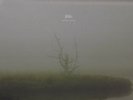 Orig JESU Sun Down / Sun Rise YELLOW MARBLE Vinyl EX cond Sunn Godflesh Isis