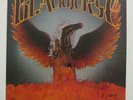 BLACKHORSE RARE HARD ROCK LP 1979 Played Once MINT  Texas Band