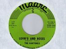 Fading Yellow   sunshine pop KANTONES Lovn'g and Roses MAARC Ohio HEAR