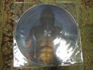 TOOL Cesaro Summability Aenima LP VINYL picture disc pic NIN melvins deftones